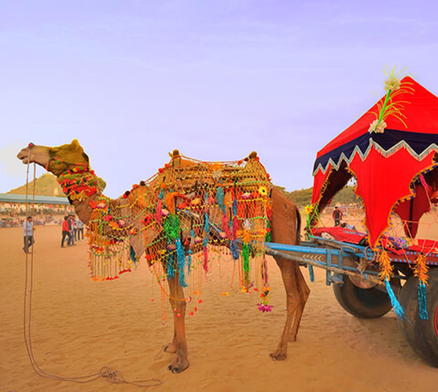 Travel Zone Best Tour Itinerary Of Rajasthan 10 Days