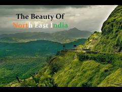 North East India Tour Package 5 Days